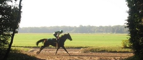 Formation au leadership en mobilisant le cheval : leadership transformationnel, etc.