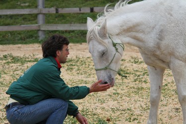 Développement personnel facilité par le cheval > contact - Harold Gential