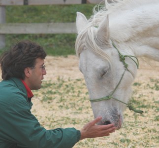 Mon coach, consultant en conduite du changement