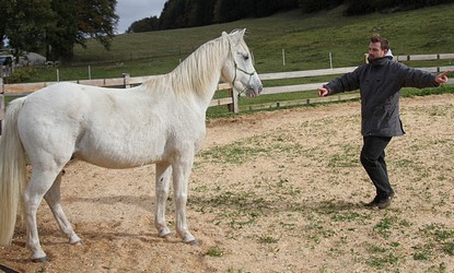 Développement personnel facilité par le cheval > Bibliographie