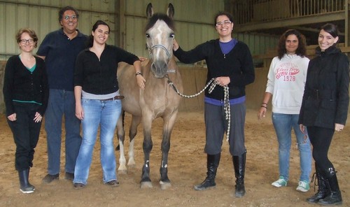 Formation à la communication non verbale facilitée par le cheval : ma prochaine démo