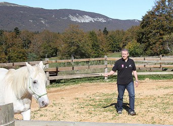 Développement personnel facilité par le cheval > mes questions