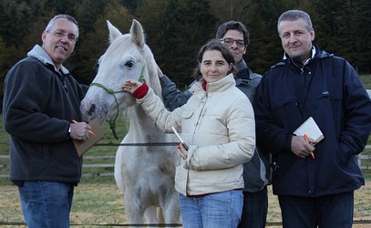 Développement personnel facilité par la relation homme/cheval